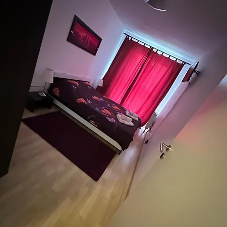 Apartment Jolly Brasov
